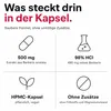 Berberin Kapseln Hochdosiert 500mg – Berberine HCl 98% aus Produktbild-Vorschau 4