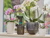 Gardena Postřikovač 1 L 11112-20 Náhled obrázku produktu 9
