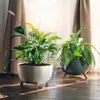 KADAX vaso da fiori in plastica "Luri", vaso da fiori con Anteprima dell’immagine prodotto 15