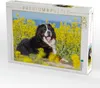 CALVENDO Puzzle Berner Sennenhund auf dem Weg durch die Produktbild-Vorschau 2