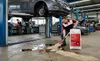 Theis ÖlBond Typ III R Fein | 40l Ölbindemittel | Körnung Produktbild-Vorschau 2