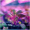 LED-groeilamp PLANTY B, E27, 9W, zwart, voor planten Productafbeelding-voorbeeld 2