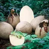 KIK KX2964 Zestaw dla małych archeologów - jaja dinozaurów, Podgląd zdjęcia produktu 13