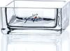 SANDRA RICH, GLAS- Schale, "SQUARE bowl 8x8x3,5cm clear" Produktbild-Vorschau 1