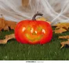 Pompoen decoratie, verlicht, 13 cm Productafbeelding-voorbeeld 7