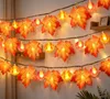 Řetěz světel na podzim, 6 metrů, 40 LED diod, teplá bílá Náhled obrázku produktu 3