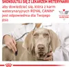 Royal Canin Veterinary Diet Canine Hypoallergenic 14kg Podgląd zdjęcia produktu 10