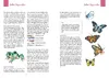 Malbuch für Anfänger*innen: 365 tägliche Übungen zu Produktbild-Vorschau 15