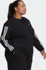 adidas Sweatshirt Grösse 2XL / 50-52 Pullover Adicolor Produktbild-Vorschau 3