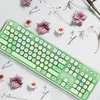 A green keyboard and mouse set is laid out on a white surface, surrounded by dried flowers and small plants. Náhled obrázku produktu