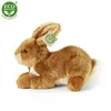 Peluche Lapin 23 Cm Ecologique Voir les images du produit 8