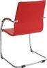A red chair with a chrome frame is shown from the back against a white background. Náhled obrázku produktu