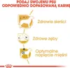 ROYAL CANIN Poodle Adult 1,5kg Podgląd zdjęcia produktu 6
