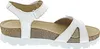Sulia Basics B1 Produktbild-Vorschau 75