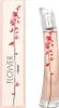 Kenzo Flower Ikebana by Kenzo Eau de Parfum 75ml Produktbild-Vorschau 4