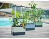 Gusta Garden CHARLY CHILY Standard-Pflanzgefäß zur Produktbild-Vorschau 11