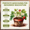 Green Home Beerenobst Erde 72 L – Spezialsubstrat für Produktbild-Vorschau 4