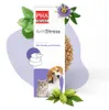 PHA AntiStress Lösung für Katzen, 30 ml Lösung Produktbild-Vorschau 8