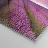 Bilder auf glas - Wiese lavenda Sommer Landschaft - Produktbild-Vorschau 5