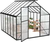 TRMLBE Szklarnia ogrodowa 310x250x205 cm Szklarnia ogrodowa Podgląd zdjęcia produktu 1