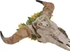 Deko Schädel HWC-Q10, Polyresin Stier Bulle Longhorn Kopf Produktbild-Vorschau 6