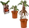 Harry Potter - Mandragola stridula in vaso Anteprima dell’immagine prodotto 2