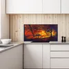 Coloray Küchenrückwand 140x70 Spritzschutz aus Glas - Park Produktbild-Vorschau 3