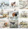 Satz Papiere Papier pour Scrapbooking 30x30 - Itd Voir les images du produit 17