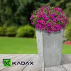 A tall, gray planter filled with vibrant pink flowers sits on a wooden deck, with a blurred green garden in the background. The KADAX logo is visible in the bottom left corner. Produktbild-Vorschau