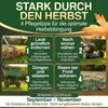 DÜNGEMEISTER Herbst Rasendünger – mit Langzeitwirkung und Produktbild-Vorschau 8