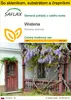 SAFLAX Kultivačný set - Wisteria - Wisteria sinensis - 4 Náhľad obrázku produktu 1