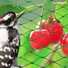 MIKONI Vogelschutznetz | 10 x 15m | GRÜN | + 20 x ERDANKER Produktbild-Vorschau 2