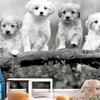 Selbstklebende Folie Fototapete - Four Puppies 245x175 cm Produktbild-Vorschau 2