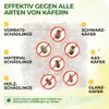 Käfer Falle mit Spezial-Lockstoff – 3x Fallen – Sicher & Produktbild-Vorschau 2