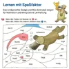 Grammatik mit Rico Schnabel, Klasse 2 Produktbild-Vorschau 5