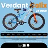 Dětské kolo chlapecké kolo 24 palců pro svaté přijímání Náhled obrázku produktu 9