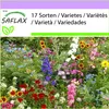 SAFLAX - opalující se - Mix - 1000 Semena Náhled obrázku produktu 4