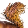 KADAX Eekhoornbeeldje, 28 cm, tuinbeeld van gepoedercoat Productafbeelding-voorbeeld 13
