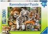 Ravensburger Plyšové kočky dravé Náhled obrázku produktu 1