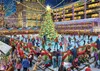11342 - The Ice Rink - 1000 Teile Produktbild-Vorschau 2