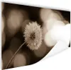 MuchoWow® Poster Sepia-Fotodruck Löwenzahn 120x80 cm - Produktbild-Vorschau 1