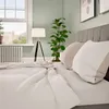 A bedroom scene with a bed, pillows, a plant, and a lamp. Produktbild-Vorschau