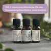Roothouse-Organics® 3er WaldSet – 100% naturreine Produktbild-Vorschau 4