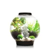 Oase biOrb CLASSIC 30 Liter Aquarium MCR schwarz Produktbild-Vorschau 3