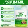 Sägepalme Komplex hochdosiert - 300 Kapseln - 4000mg - Produktbild-Vorschau 4