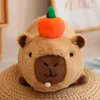 A plush toy capybara with a small orange and green fruit on its head, sitting on a woven surface. Náhled obrázku produktu