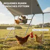 Enclos pour poules | Enclos en plein air pour poules, Voir les images du produit 7