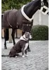Kentucky Dogwear Hundemantel Original Hundejacke Braun M Produktbild-Vorschau 4