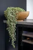 Capi Europe - Schale Groove Indoor - Goud - 40x15 Productafbeelding-voorbeeld 4