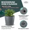XXL Pflanzkübel „Millennium“ Ø59xH49 cm - 80L - Grau - Produktbild-Vorschau 6